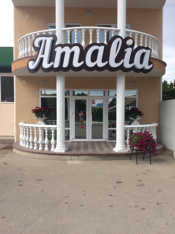 Amalia Hotel Zaliznij Port Eksteriør bilde
