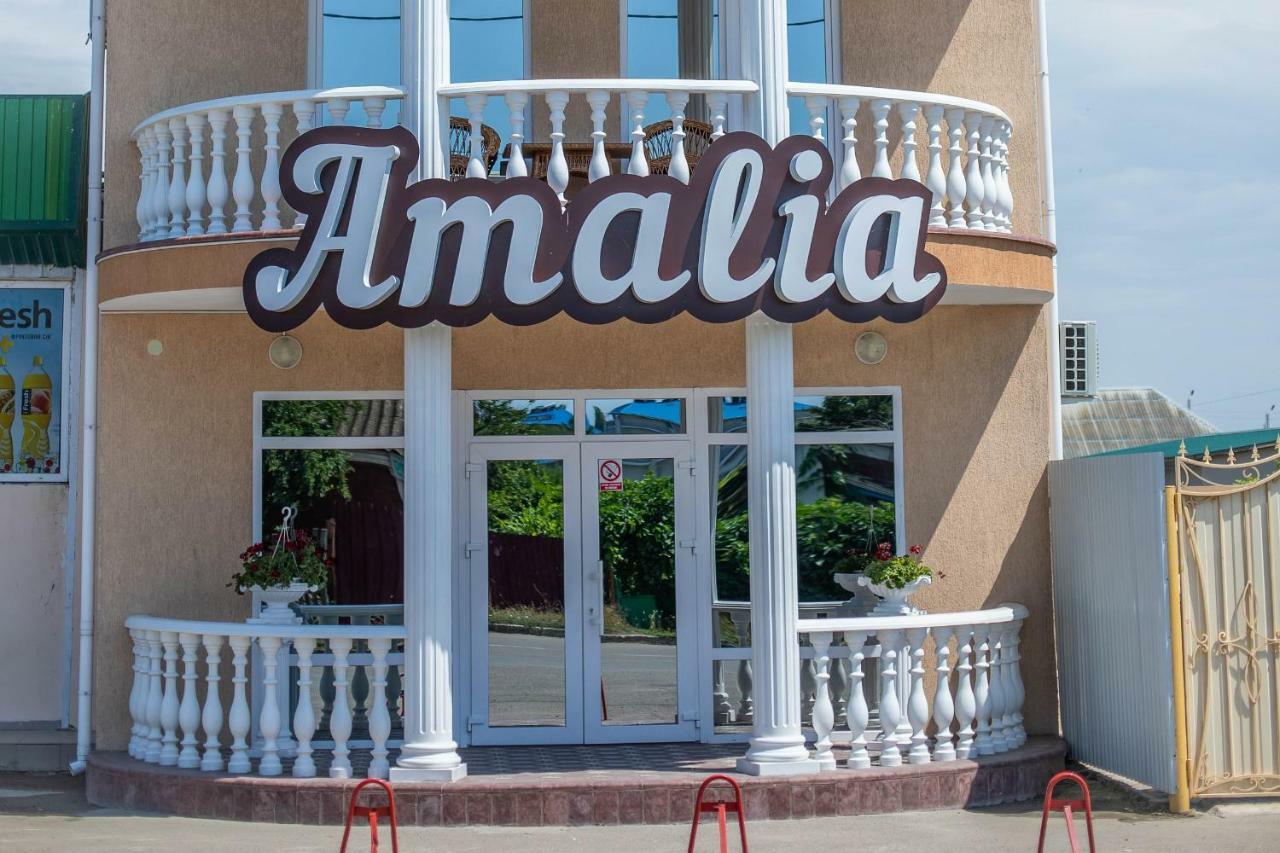 Amalia Hotel Zaliznij Port Eksteriør bilde
