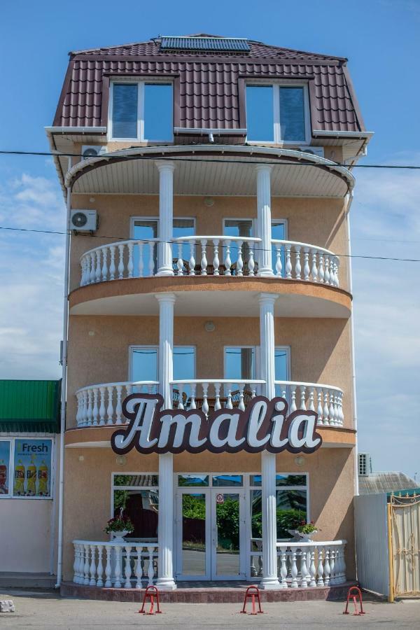 Amalia Hotel Zaliznij Port Eksteriør bilde